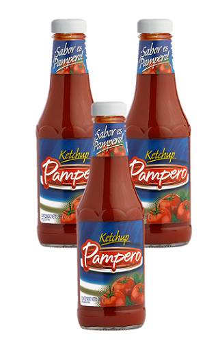 PAMPERO KETCHUP 397Gx24UN