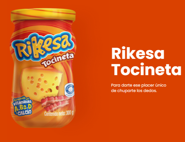 RIKESA QUESO TOCINETA ENRIQ 300Gx12UN
