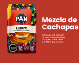 [H172] PAN MEZCLA PARA CACHAPAS 500GRx12UN