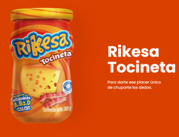 [T501] RIKESA QUESO TOCINETA ENRIQ 300Gx12UN